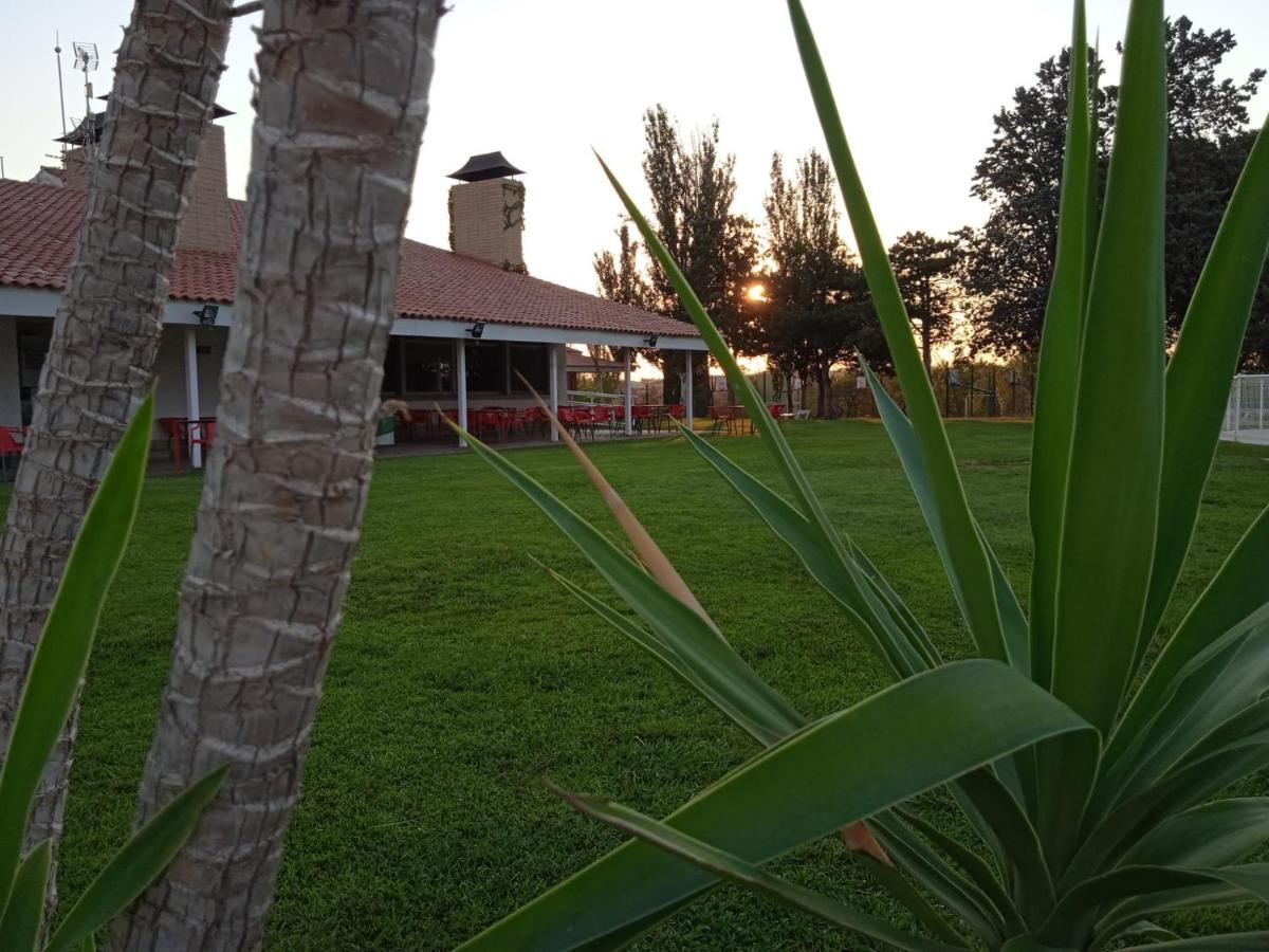 Bungalows Zaragoza Camping 外观 照片