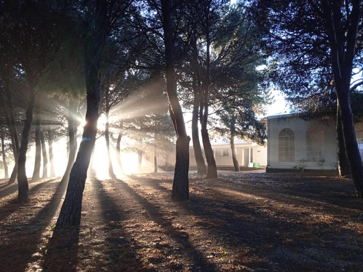Bungalows Zaragoza Camping 外观 照片
